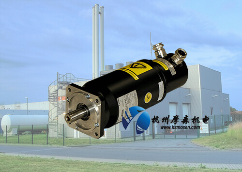 防爆伺服電機價格是否就能決定防爆電機品質？